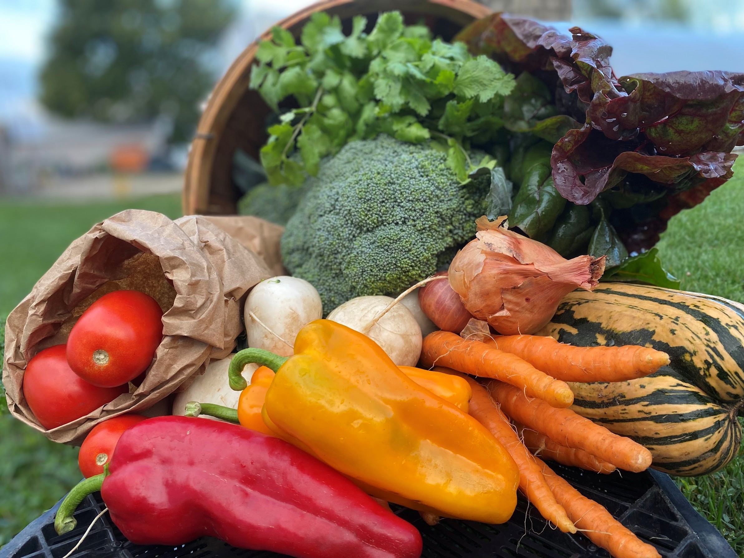 Liberty Prairie and Farm Store